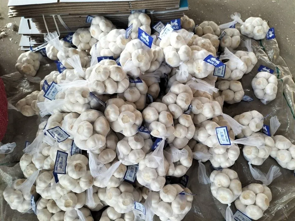 Чистий кишеньковий часник