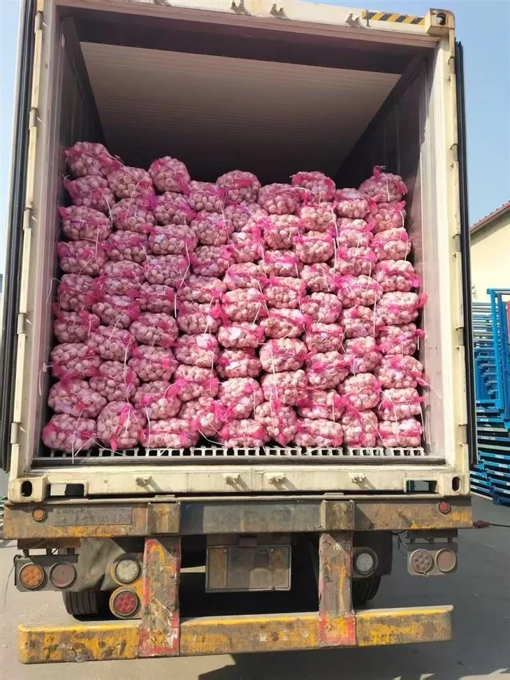 Приємний змішаний часник